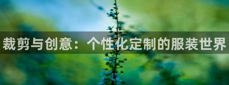 大同天辰娱乐
