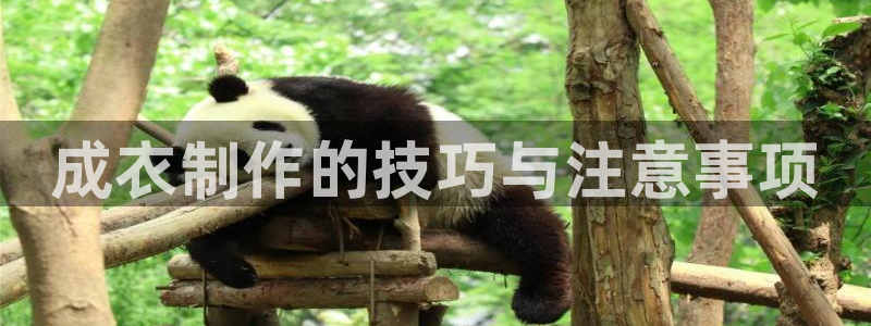 天辰娱乐44616