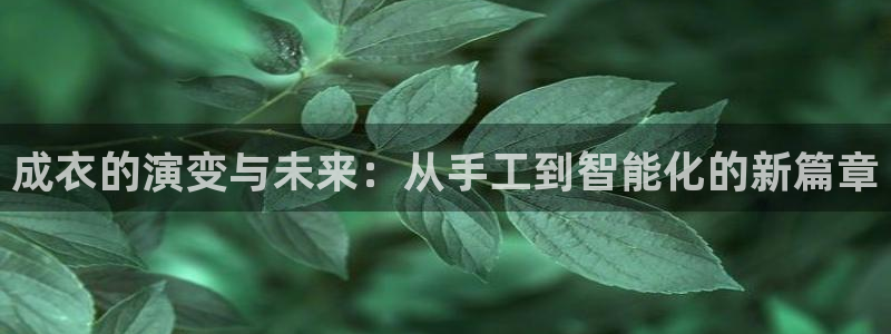 天辰娱乐84566
