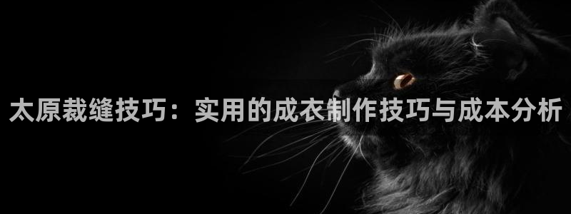 天辰娱乐下载链接