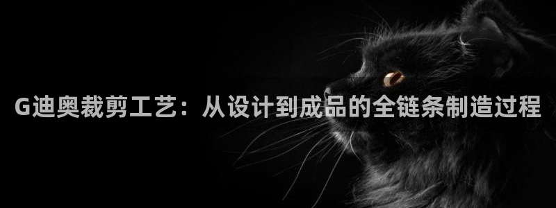 天辰娱乐 qq