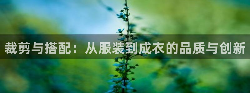 天辰娱乐885544