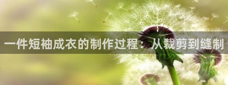 天辰娱乐平台入口