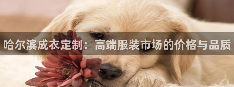 天辰娱乐 天辰平台