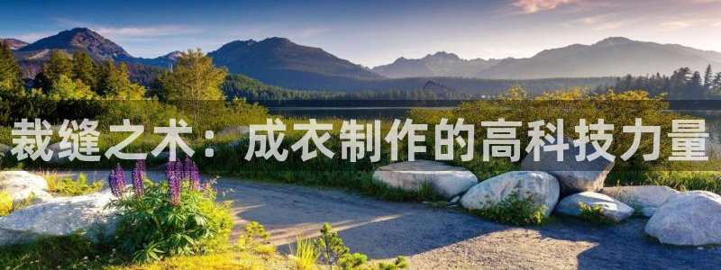 天辰娱乐股东