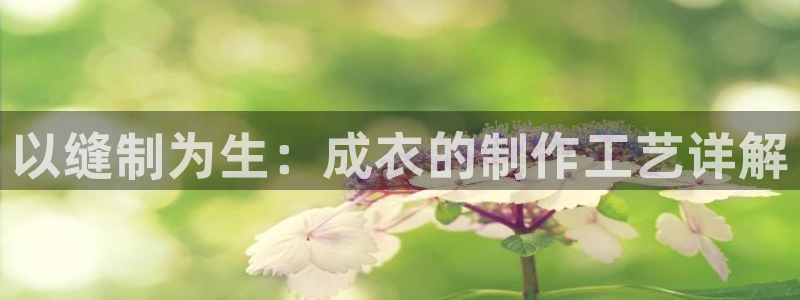 天辰娱乐待遇