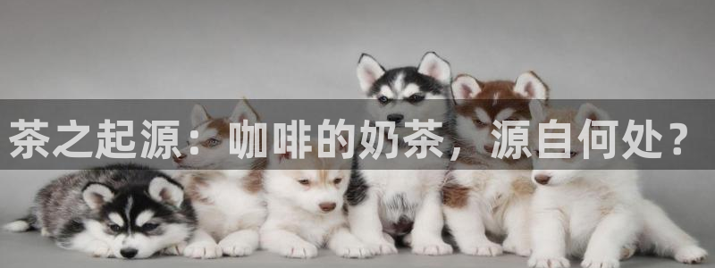 天辰娱乐首选