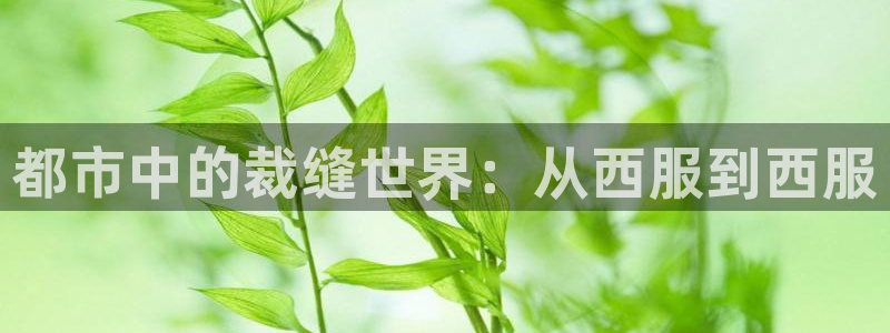 天辰娱乐下载链接