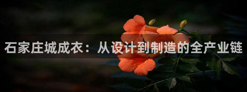 天辰辰娱乐代理