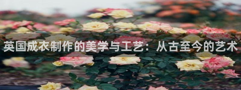 天辰娱乐平台入口