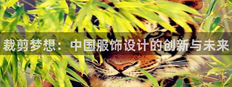 天辰娱乐平台安全吗