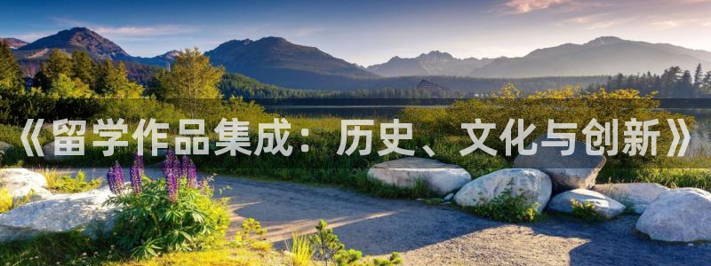 天辰娱乐招商