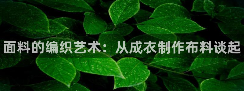 天辰娱乐平台