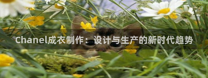 天辰娱乐路线