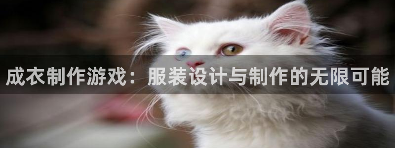 天辰娱乐股票