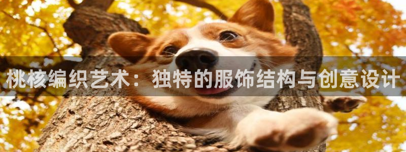 天辰娱乐鱼刺