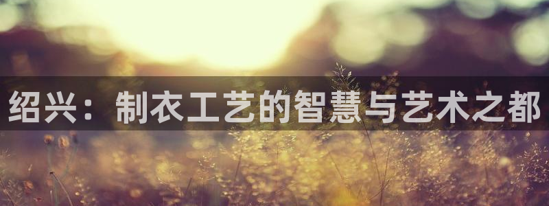 天辰娱乐ttf