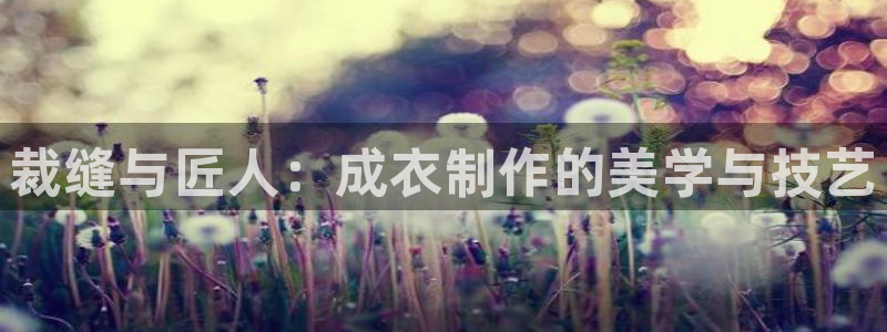 天辰娱乐公司