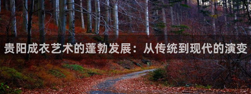 天辰娱乐软件