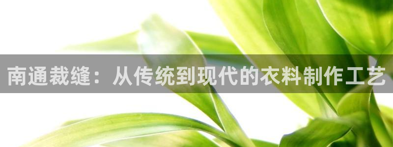 天辰娱乐481928